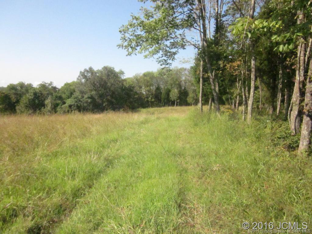 451 Lost Fork Road Vevay, IN 47043 - Photo 4 of 4