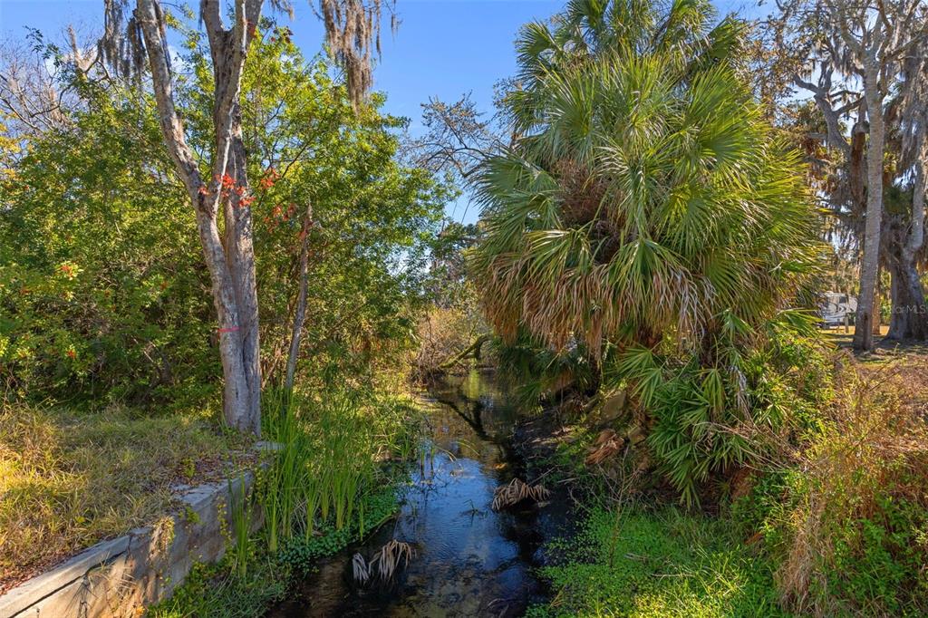 8301 Congress Street Port Richey, FL 34668 - Photo 64 of 98 Gallery Image 64