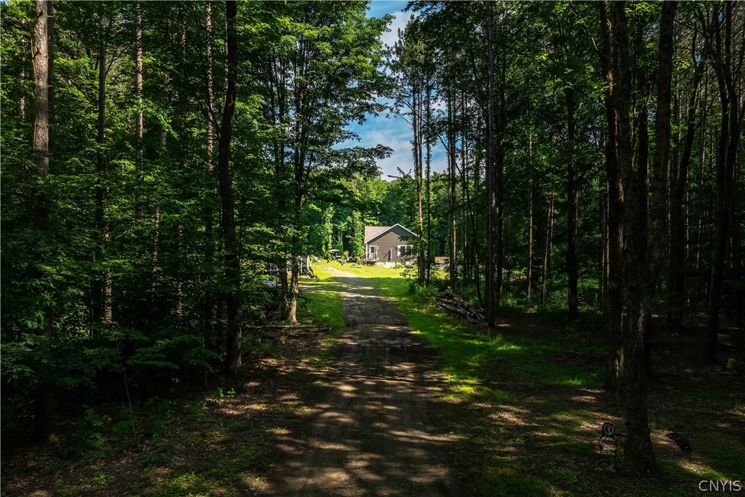 54 Tubbs Road Mexico, NY 13114 - Photo 12 of 44
