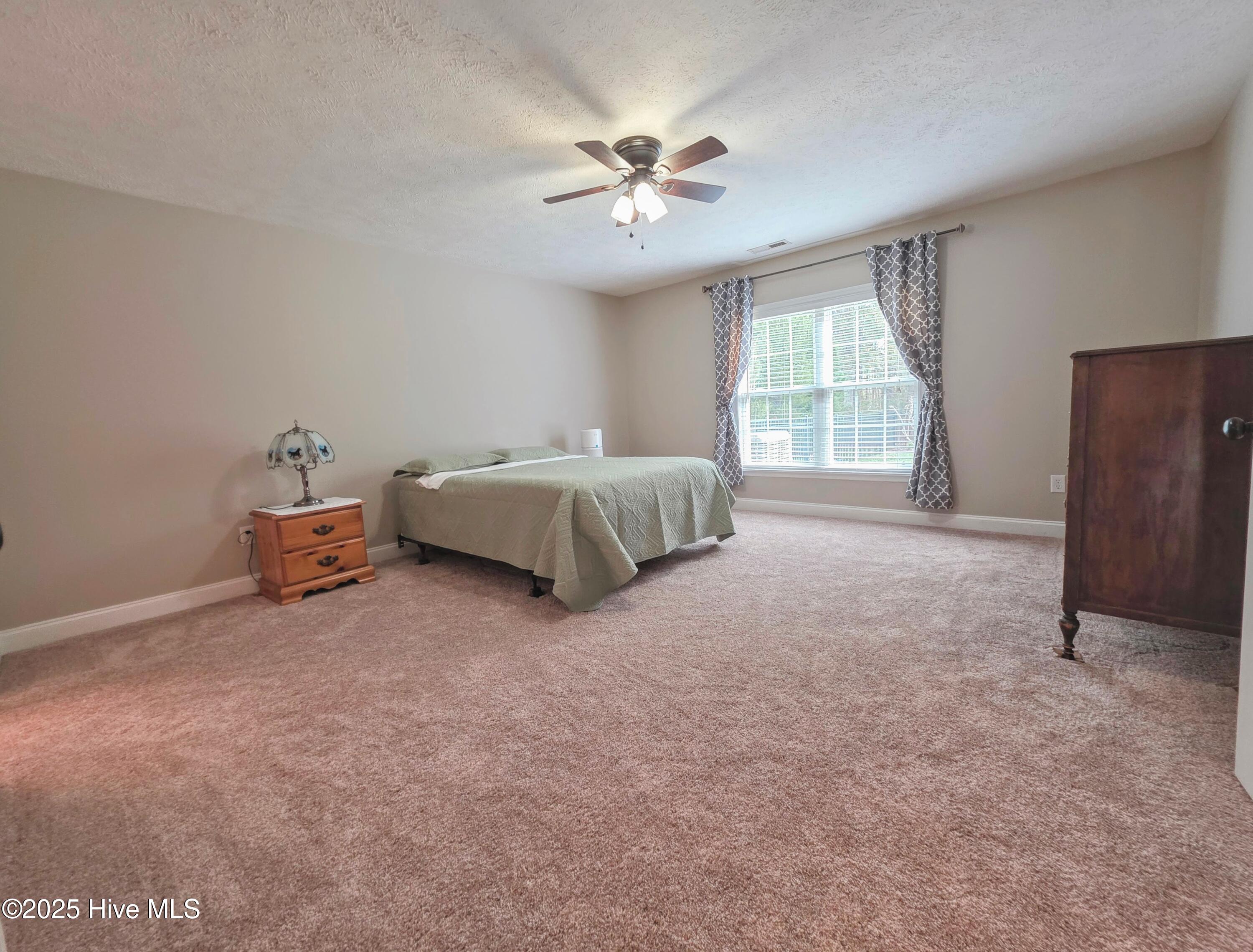 400 Neuchatel Road New Bern, NC 28562 - Photo 7 of 26 Spacious Primary Suite