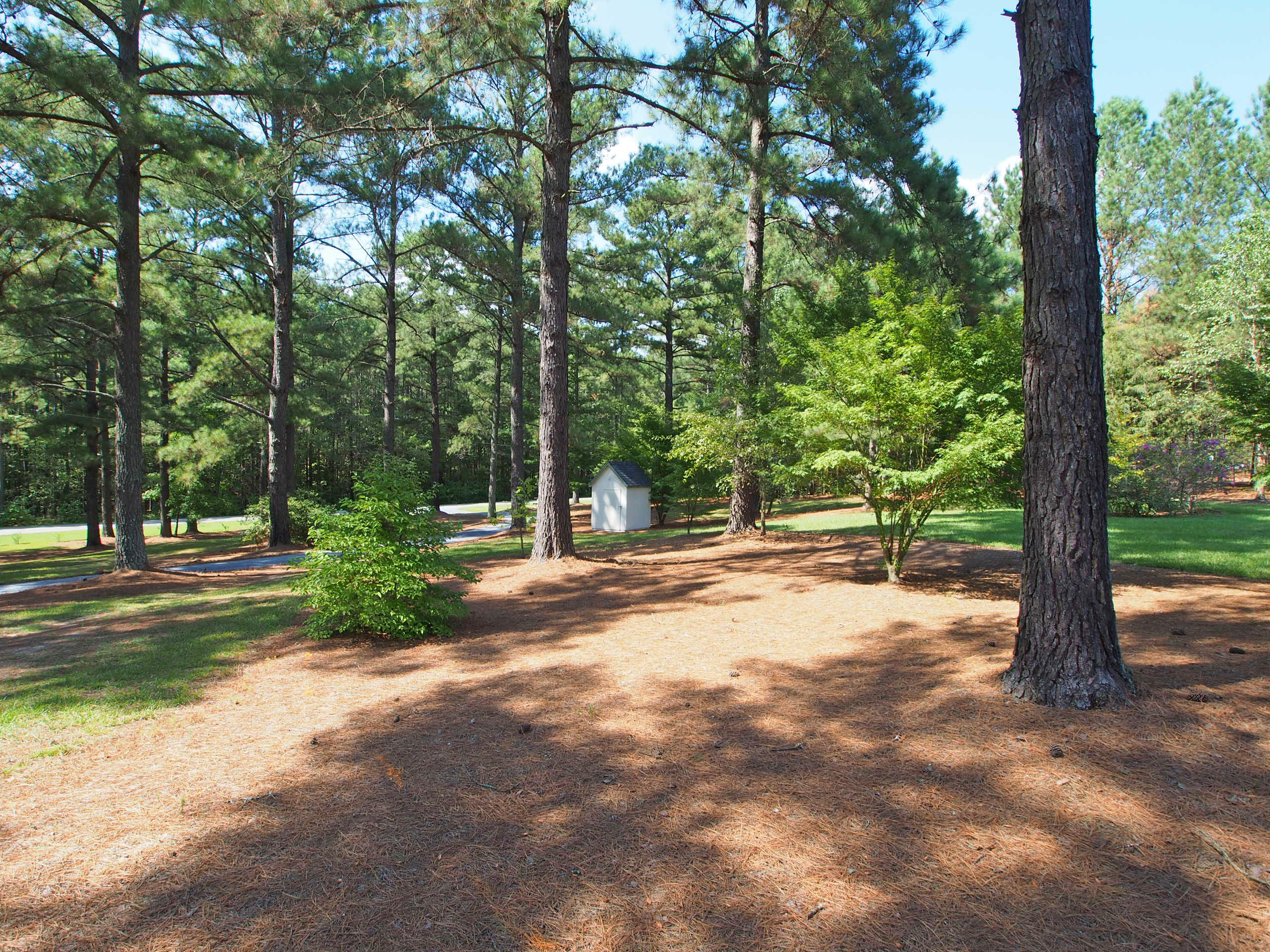 157-161 Lynch Road Cameron, NC 28326 - Photo 28 of 29 yard1