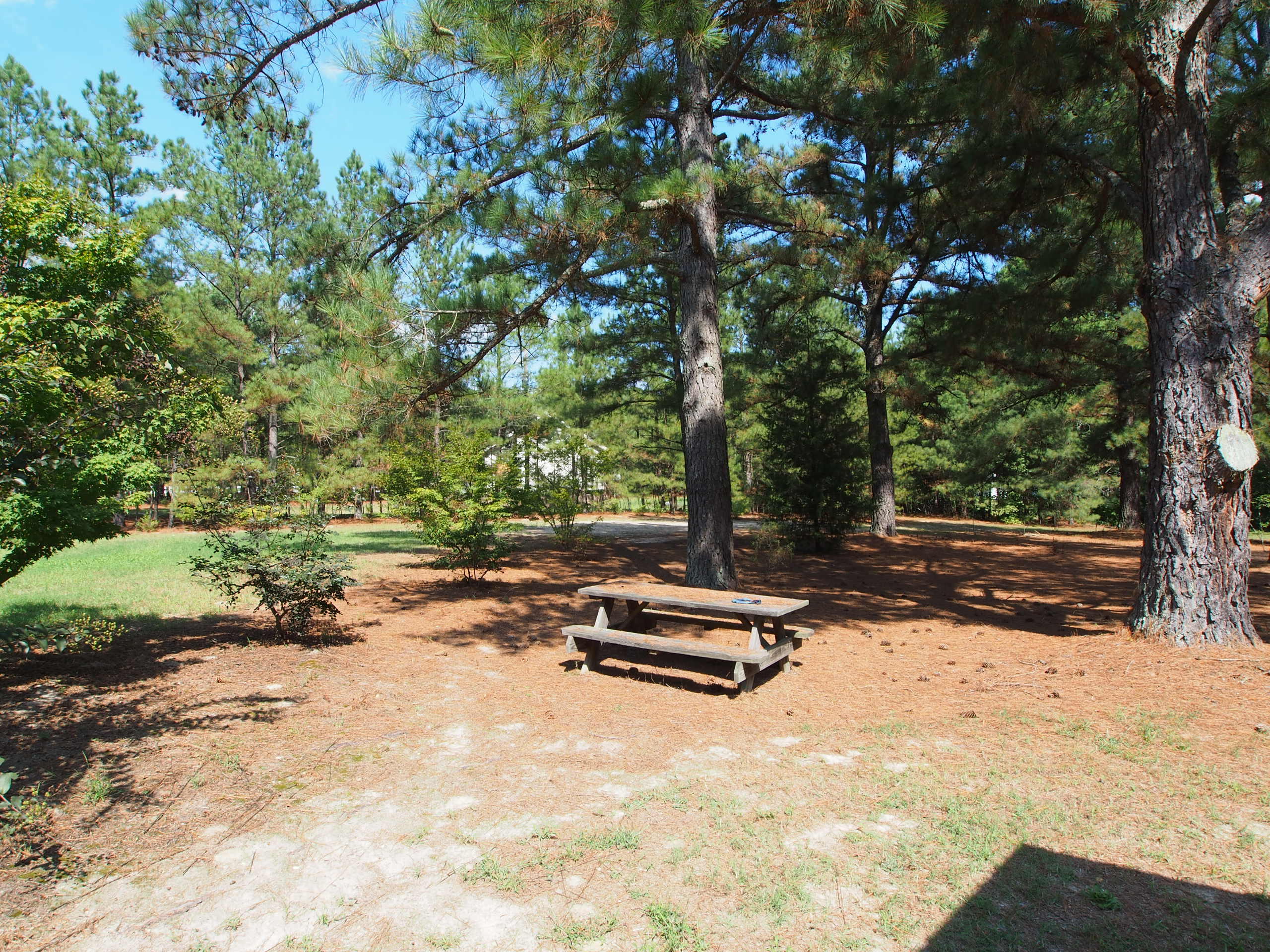 157-161 Lynch Road Cameron, NC 28326 - Photo 29 of 29 yard3