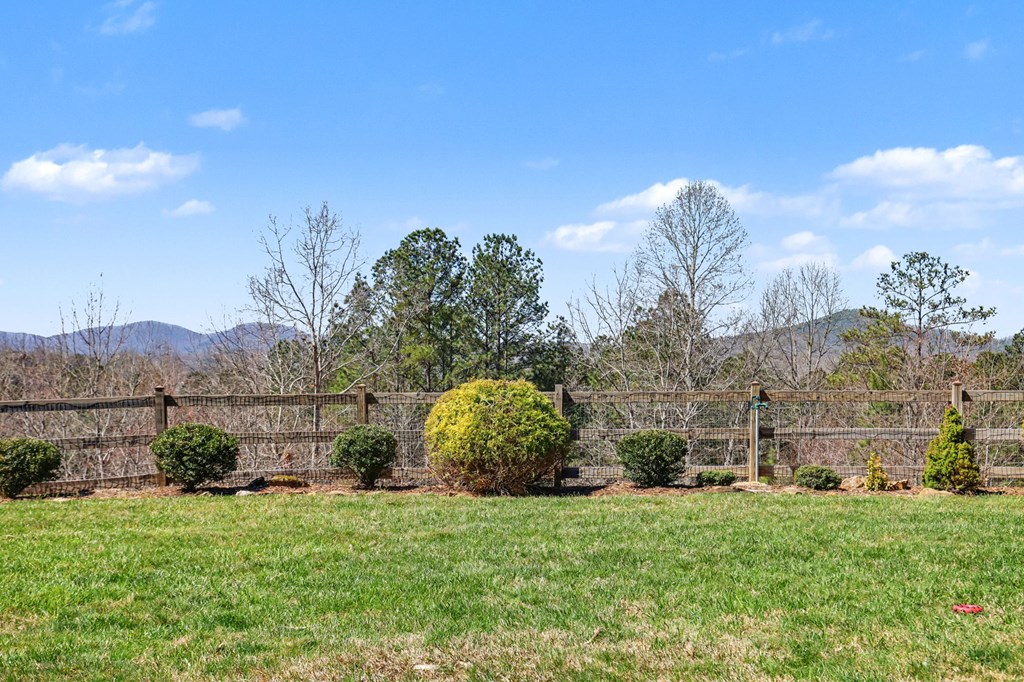 899 Ridge Pointe Way Blairsville, GA 30512 - Photo 59 of 100