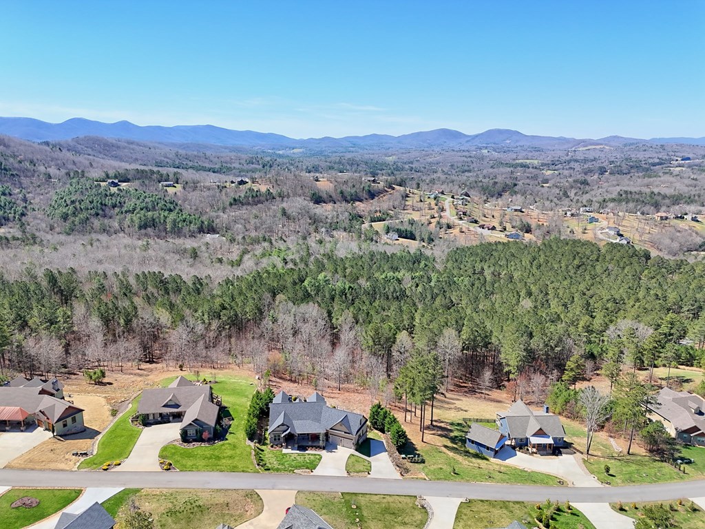 899 Ridge Pointe Way Blairsville, GA 30512 - Photo 90 of 100