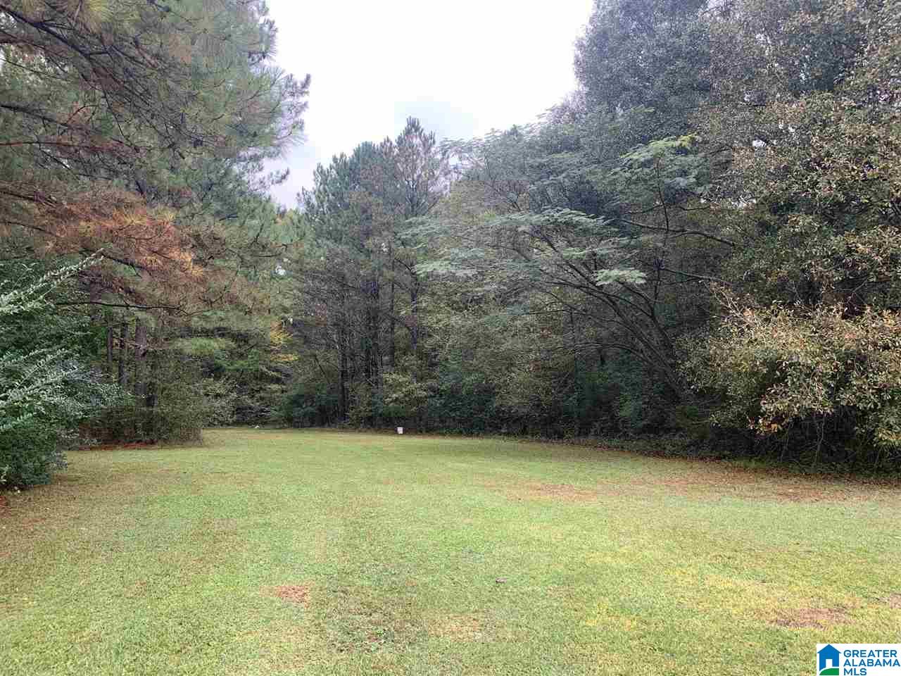 1010 Rochester Road Southeast Jacksonville, AL 36265 - Photo 8 of 36