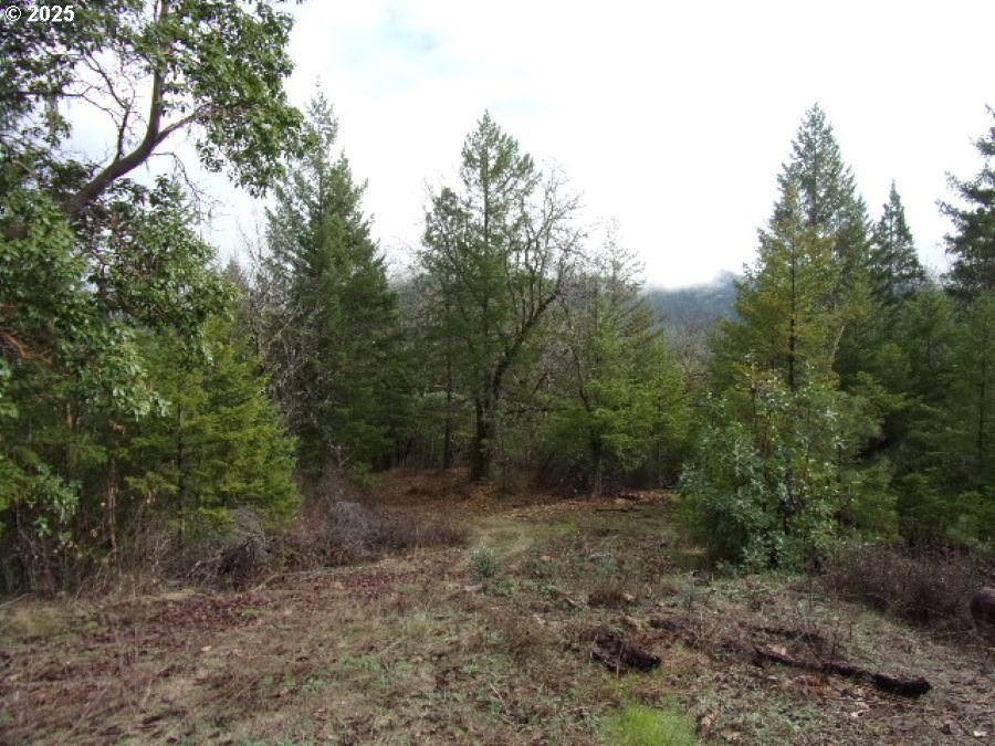18515 Ditch Creek Road Rogue River, OR 97537 - Photo 2 of 4