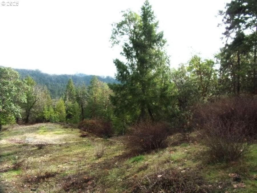 18515 Ditch Creek Road Rogue River, OR 97537 - Photo 3 of 4