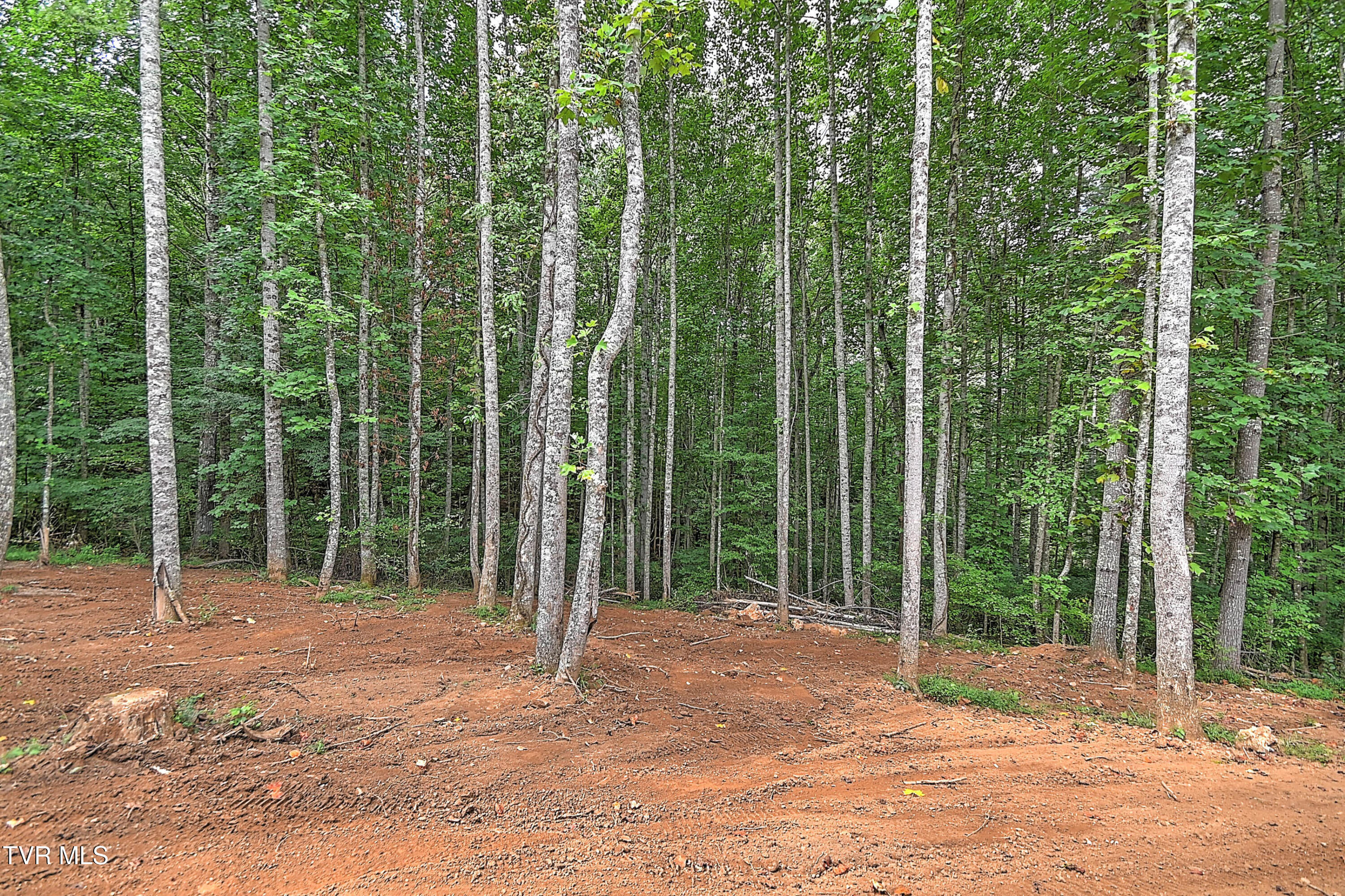512 Norris Road Butler, TN 37640 - Photo 36 of 40 512 Norris DST-37