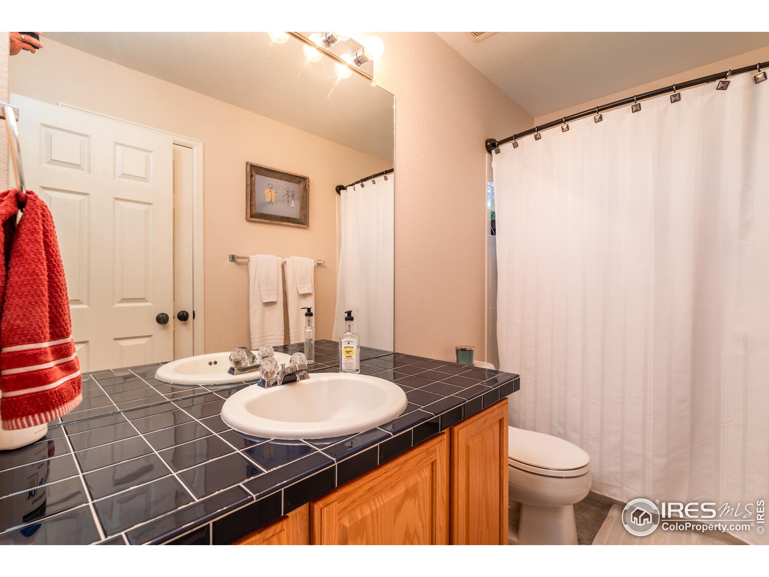 10134 Eastview Street Firestone, CO 80504 - Photo 21 of 34