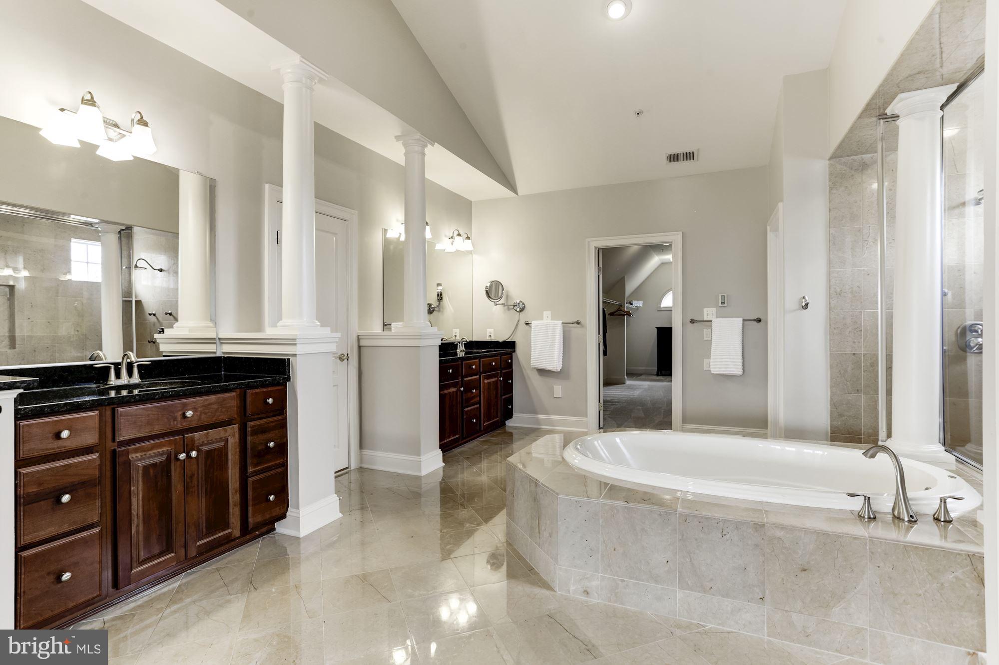 15131 Ganley Road Boyds, MD 20841 - Photo 18 of 23 Master Bathroom