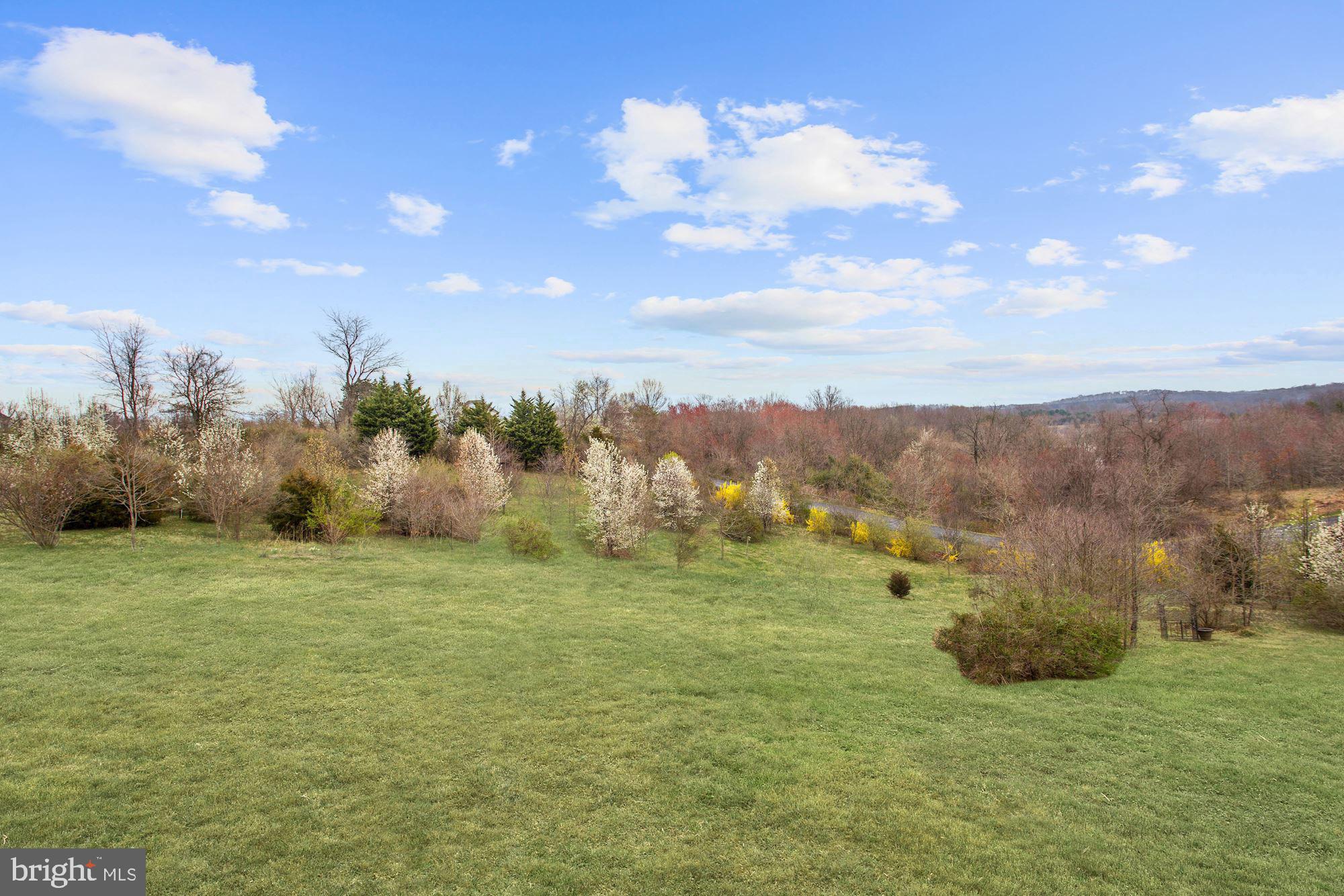 15131 Ganley Road Boyds, MD 20841 - Photo 23 of 23 Picturesque Lot +Seasonal Views of Lake Seneca