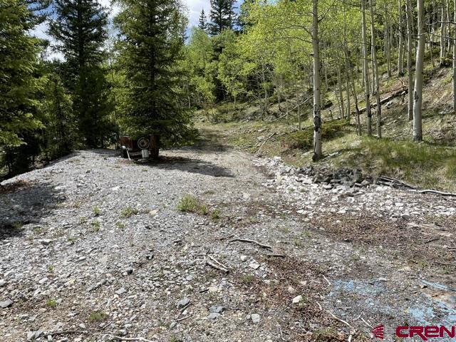 766 Rd Pitkin Co 81241 Road Ohio City, CO 81237 - Photo 12 of 18