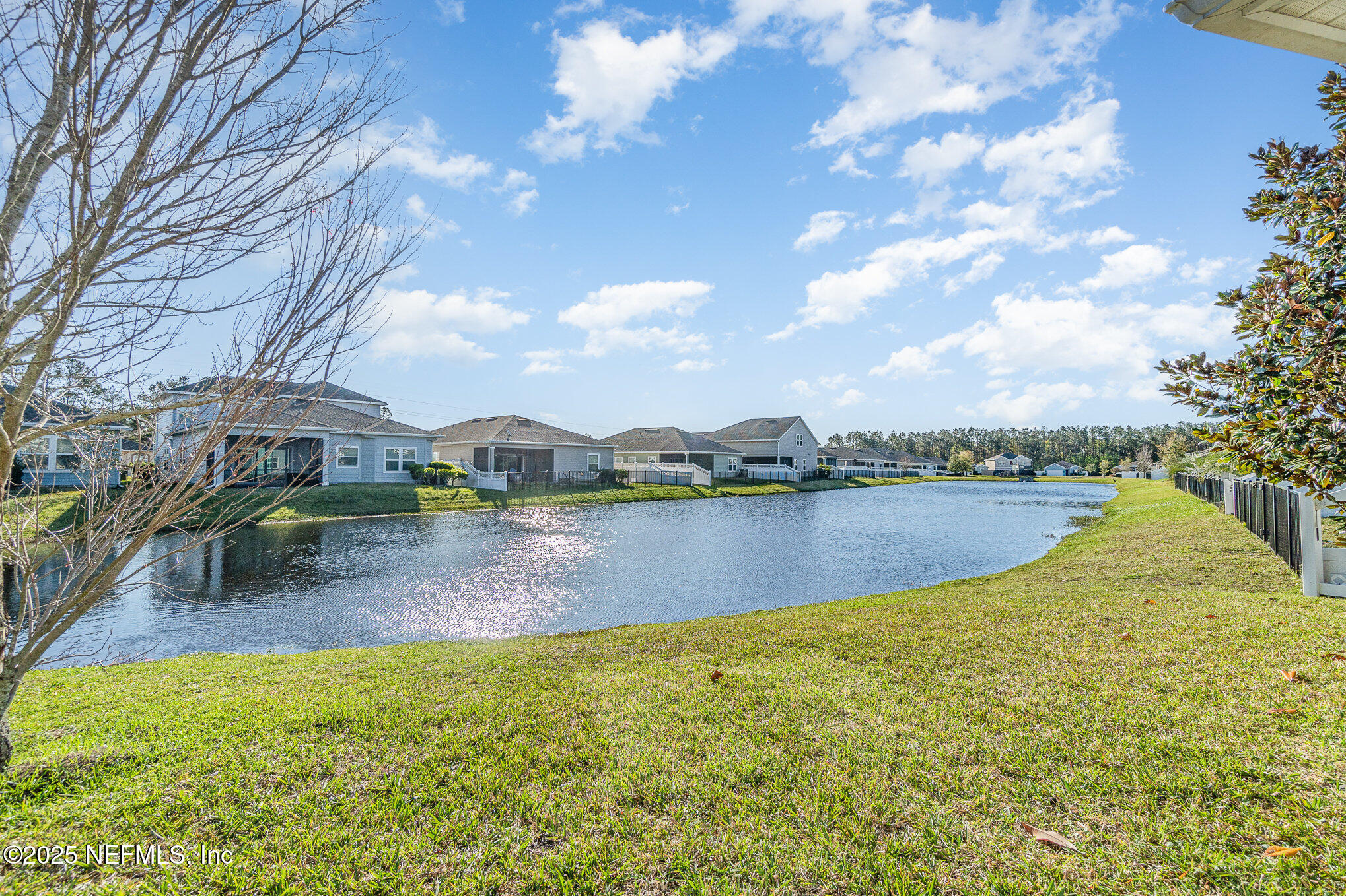 4220 Arbor Mill Circle Orange Park, FL 32065 - Photo 22 of 23 a view of lake with green space