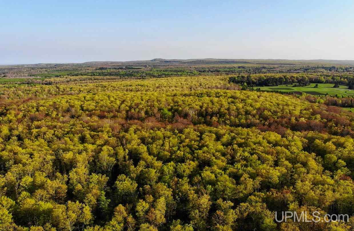 Tbd Coles Creek Road, Unit PARCEL 11 Hancock, MI 49931 - Photo 1 of 12