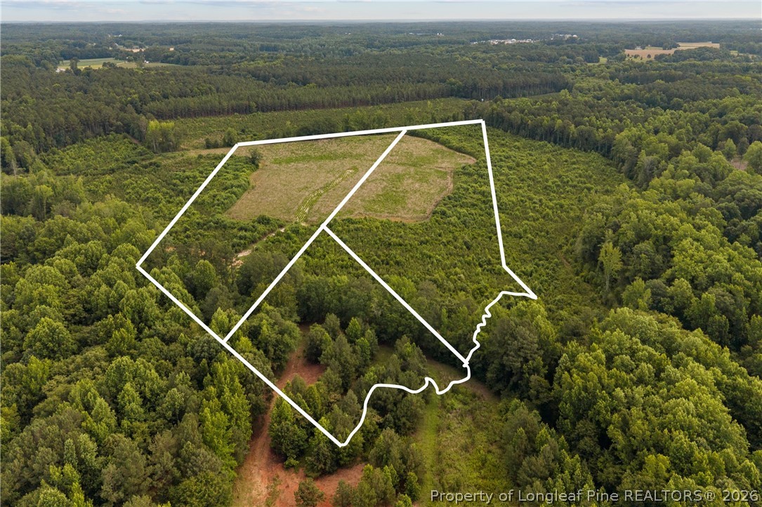 Leaflet Church Road Lillington, NC 27546 - Photo 19 of 20