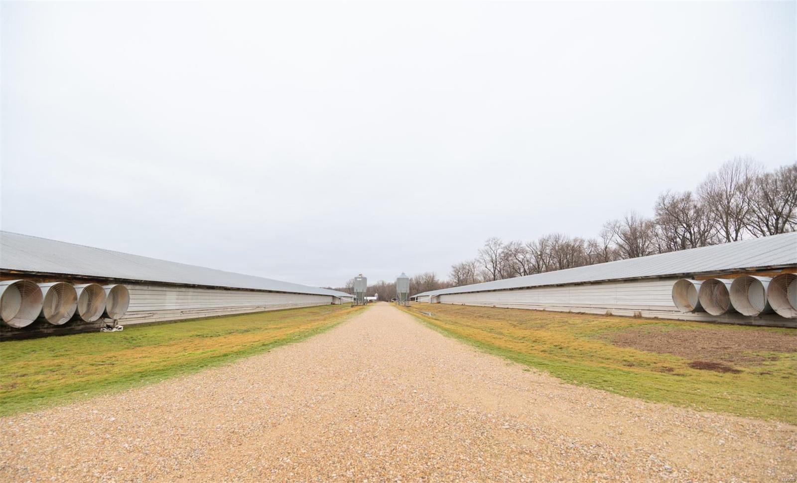 15701 County Road 533 Bloomfield, MO 63825 - Photo 2 of 14