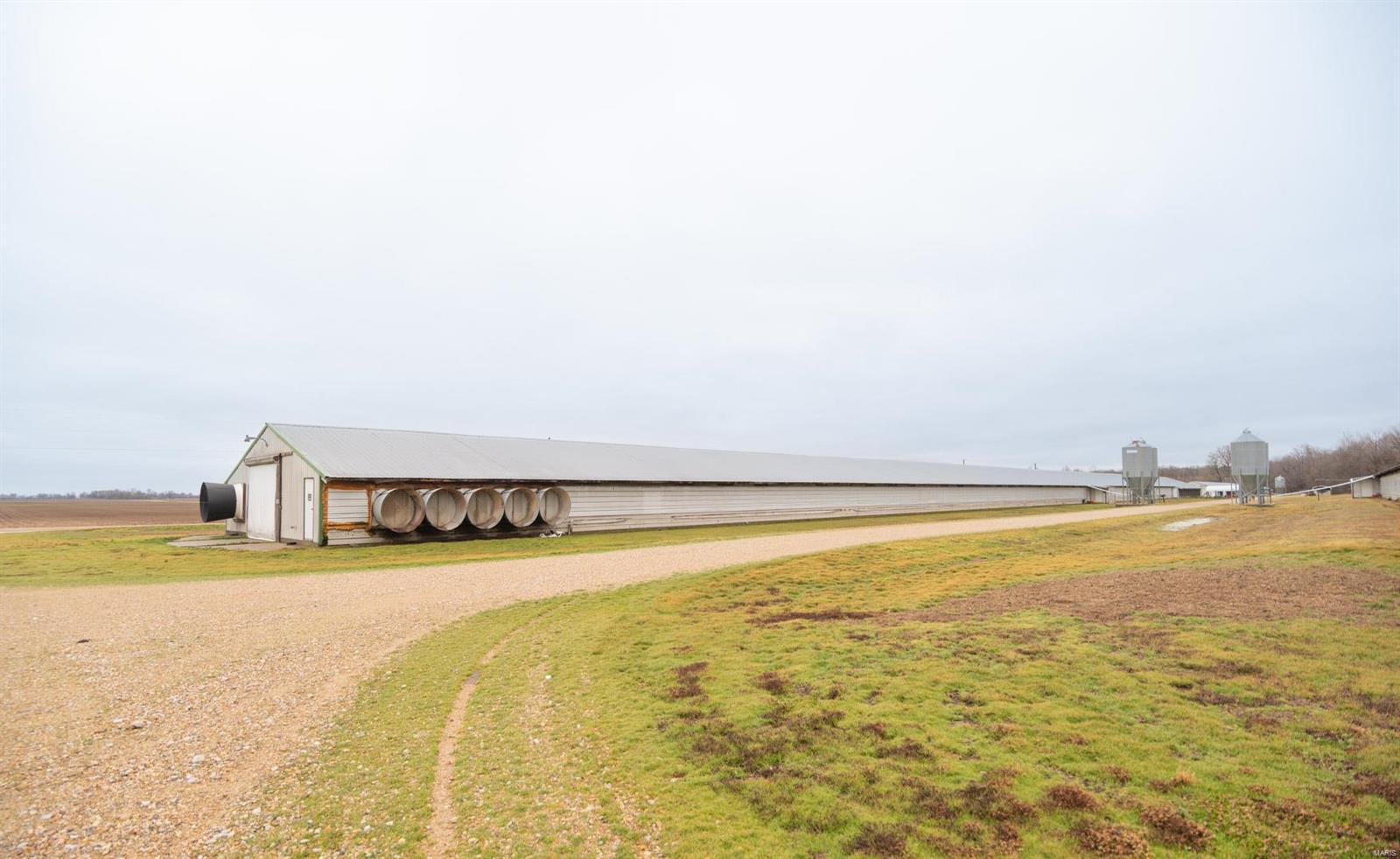 15701 County Road 533 Bloomfield, MO 63825 - Photo 10 of 14