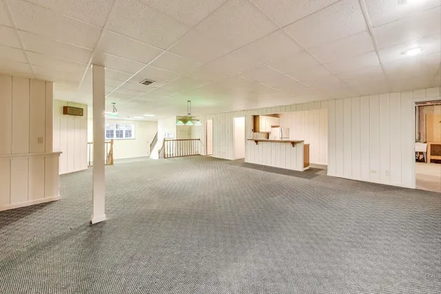 a view of some trees in the forest