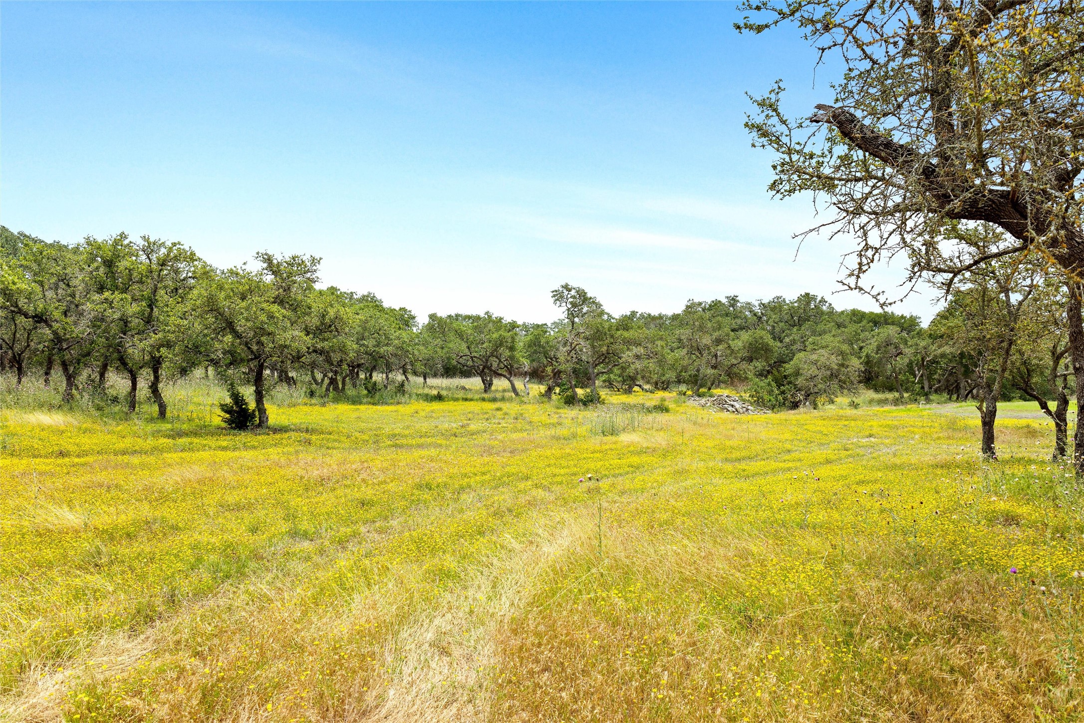 426 Preiss Ranch Road Blanco, TX 78606 - Photo 31 of 40