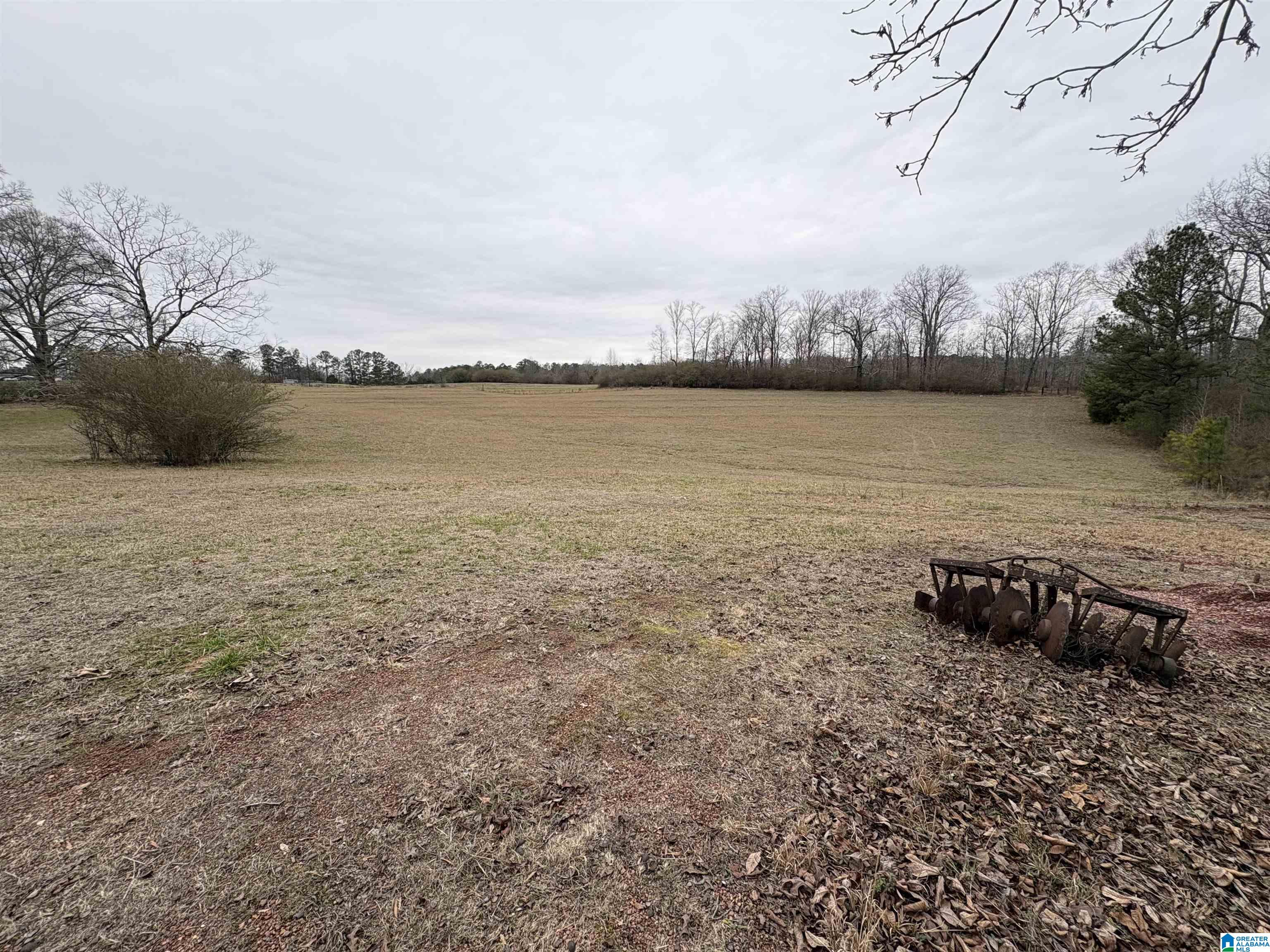 3349 Nail Road, Unit 40 6 ACRES / Warrior, AL 35180 - Photo 4 of 16