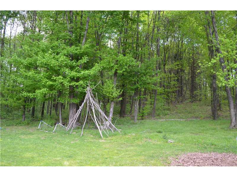 300 Elmbrook Road Beaver Falls, PA 15010 - Photo 8 of 8 Yard/Garden.