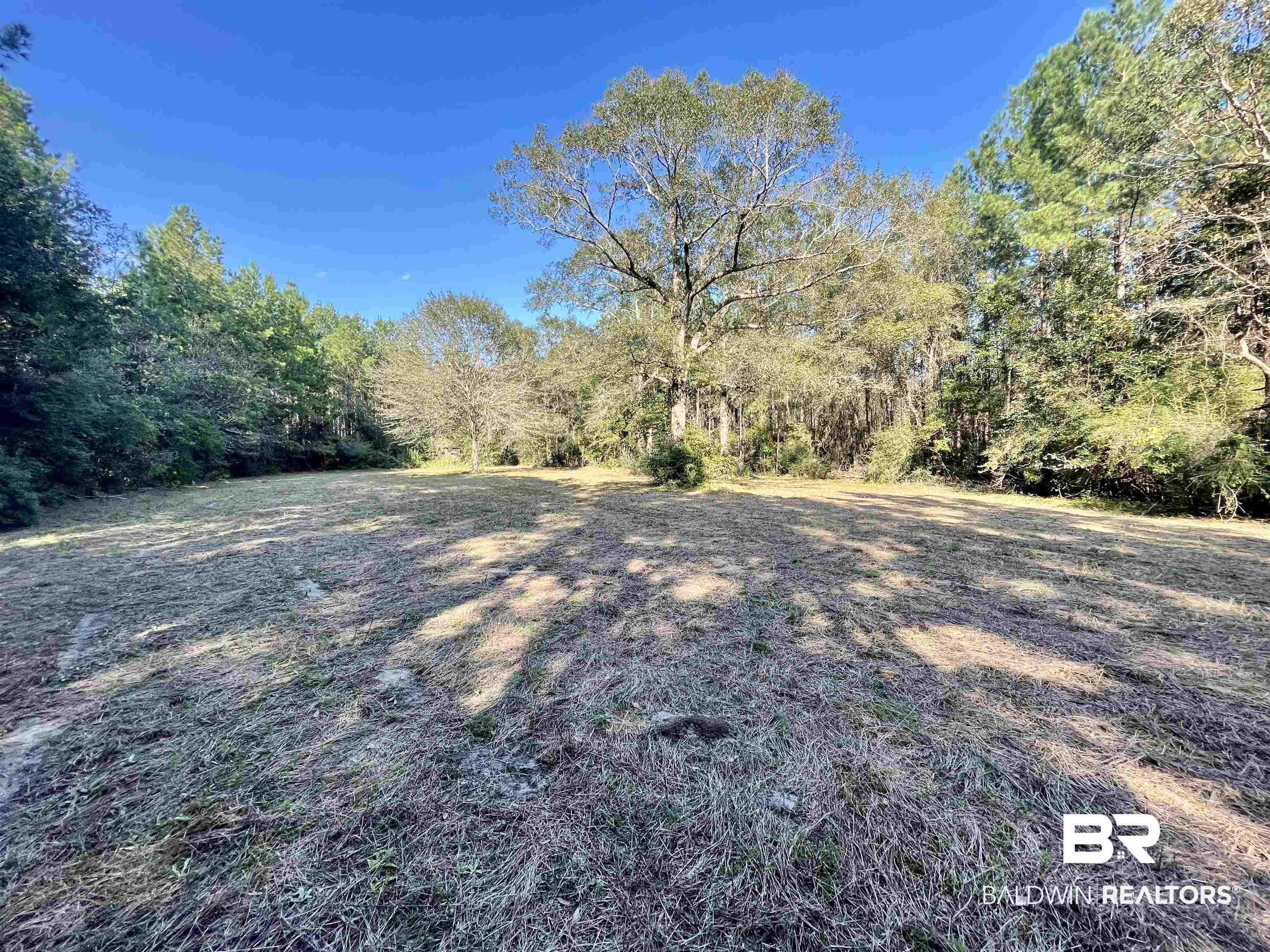 0 Country Road Vinegar Bend, AL 36584 - Photo 12 of 46