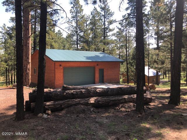 8 County Road Greer, AZ 85927 - Photo 5 of 33