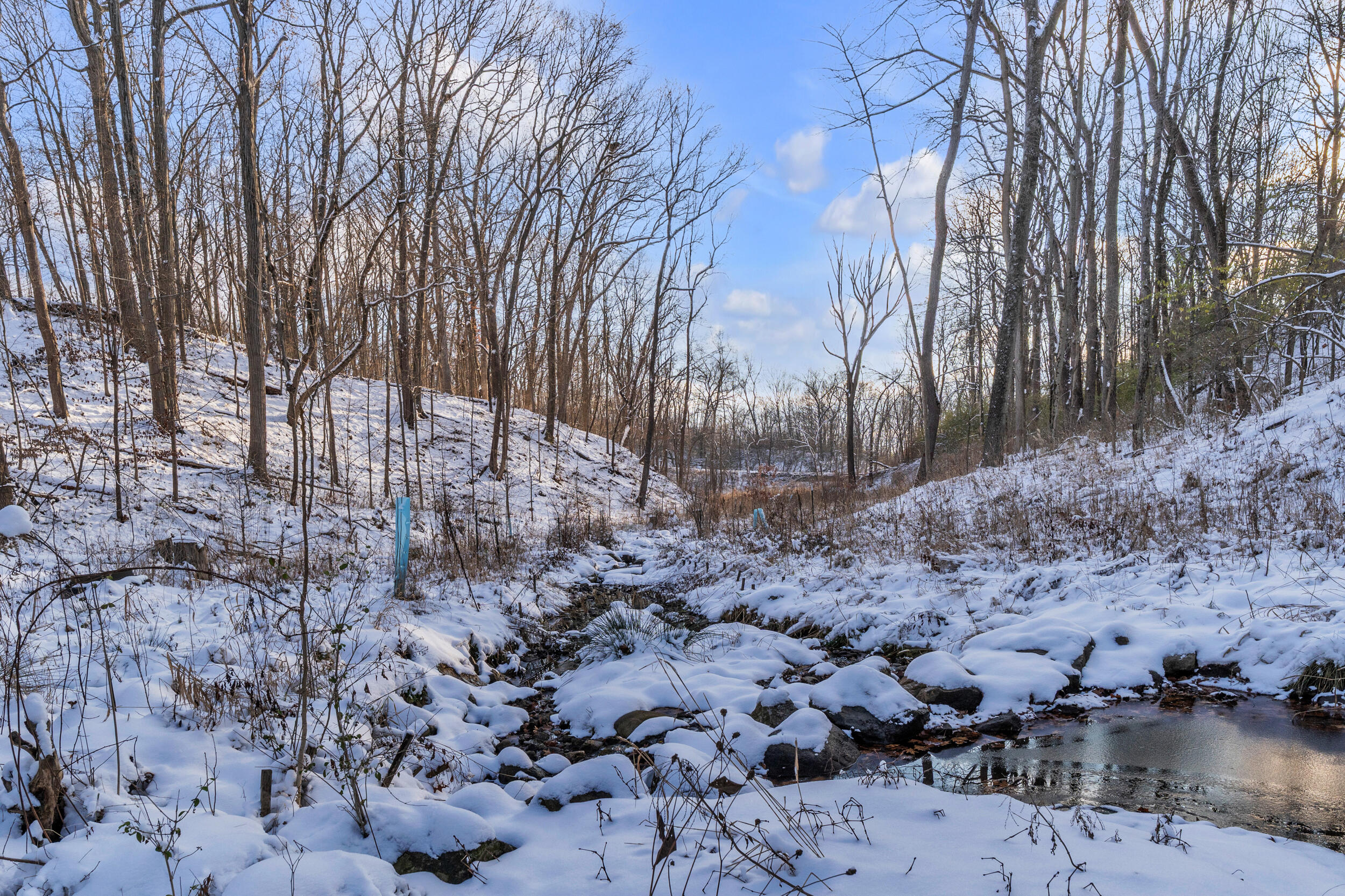 1091 Green Road Ann Arbor, MI 48105 - Photo 74 of 76 green-92