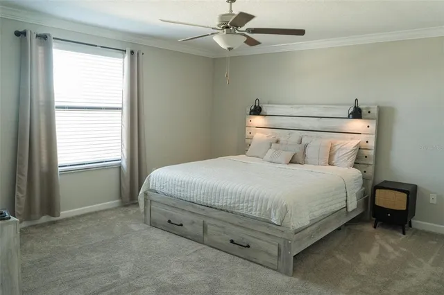 a bedroom with a bed and a window