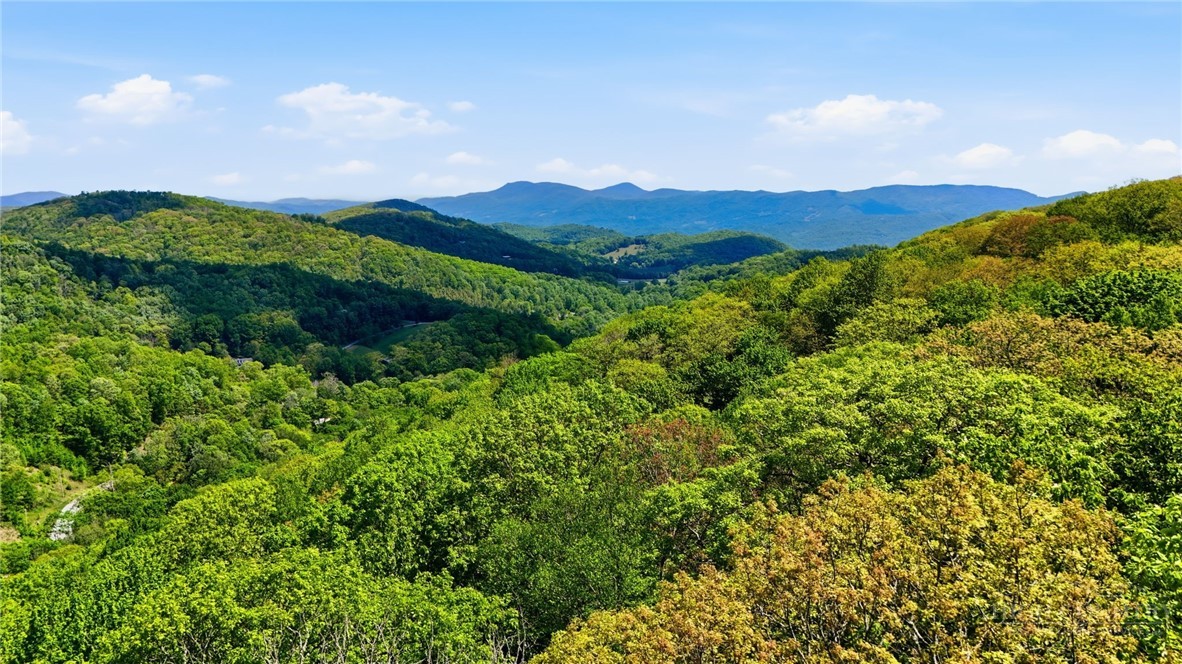 Lot #31 Snow Ridge Road Banner Elk, NC 28604 - Photo 4 of 19 Gallery Image 4