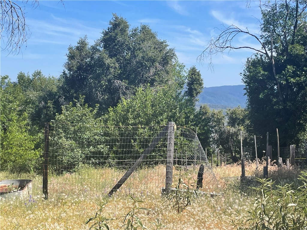 363 Raccoon Road Berry Creek, CA 95916 - Photo 2 of 27