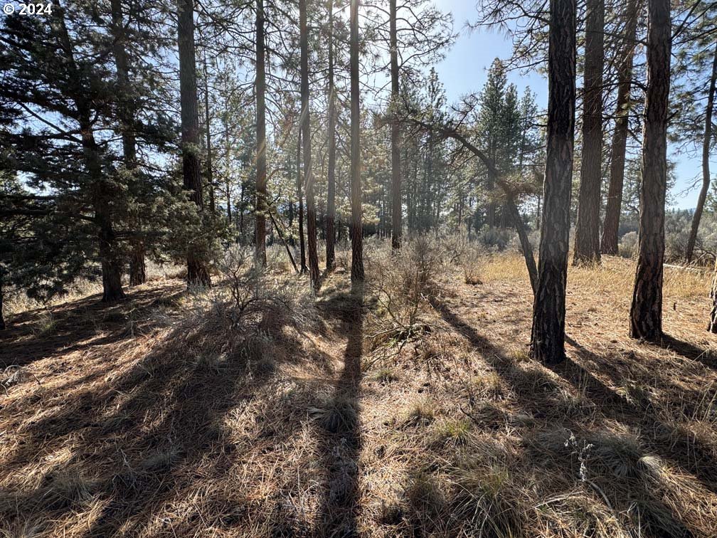 Copperfield Drive Chiloquin, OR 97624 - Photo 16 of 36 a view of a forest with trees
