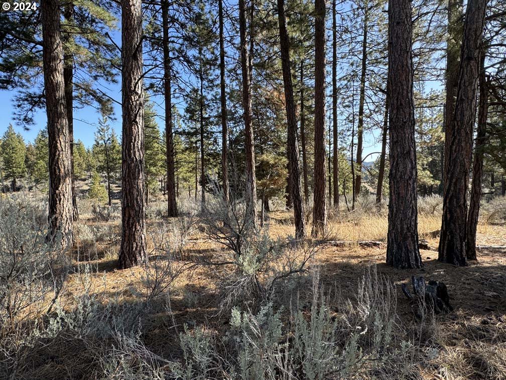 Copperfield Drive Chiloquin, OR 97624 - Photo 18 of 36 a view of outdoor space with lots of trees