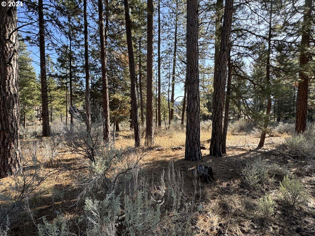 Copperfield Drive Chiloquin, OR 97624 - Photo 19 of 36 a view of outdoor space with trees