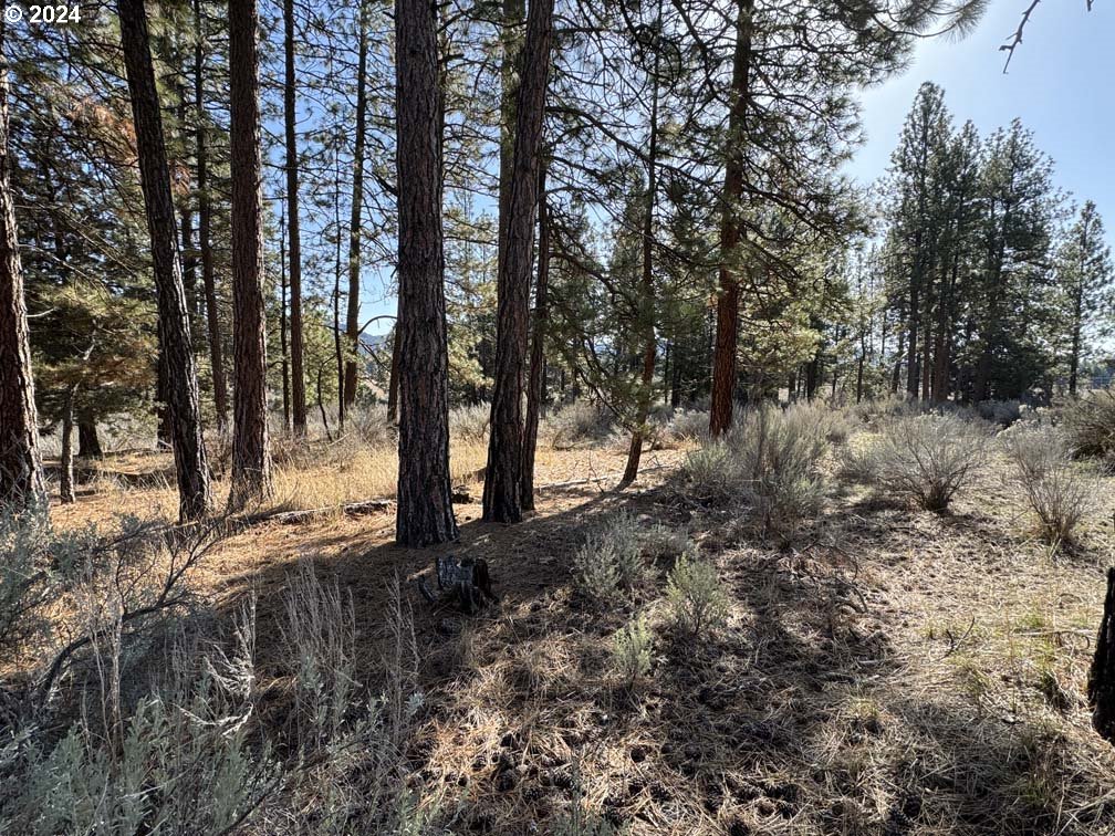 Copperfield Drive Chiloquin, OR 97624 - Photo 20 of 36 a view of a forest with trees