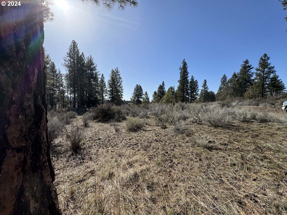 Copperfield Drive Chiloquin, OR 97624 - Photo 21 of 36 a view of a dry yard with trees and stairs