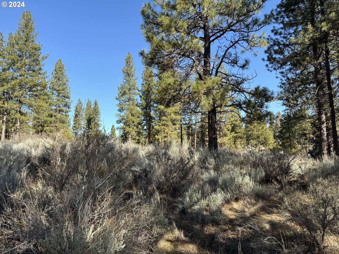 Copperfield Drive Chiloquin, OR 97624 - Photo 22 of 36