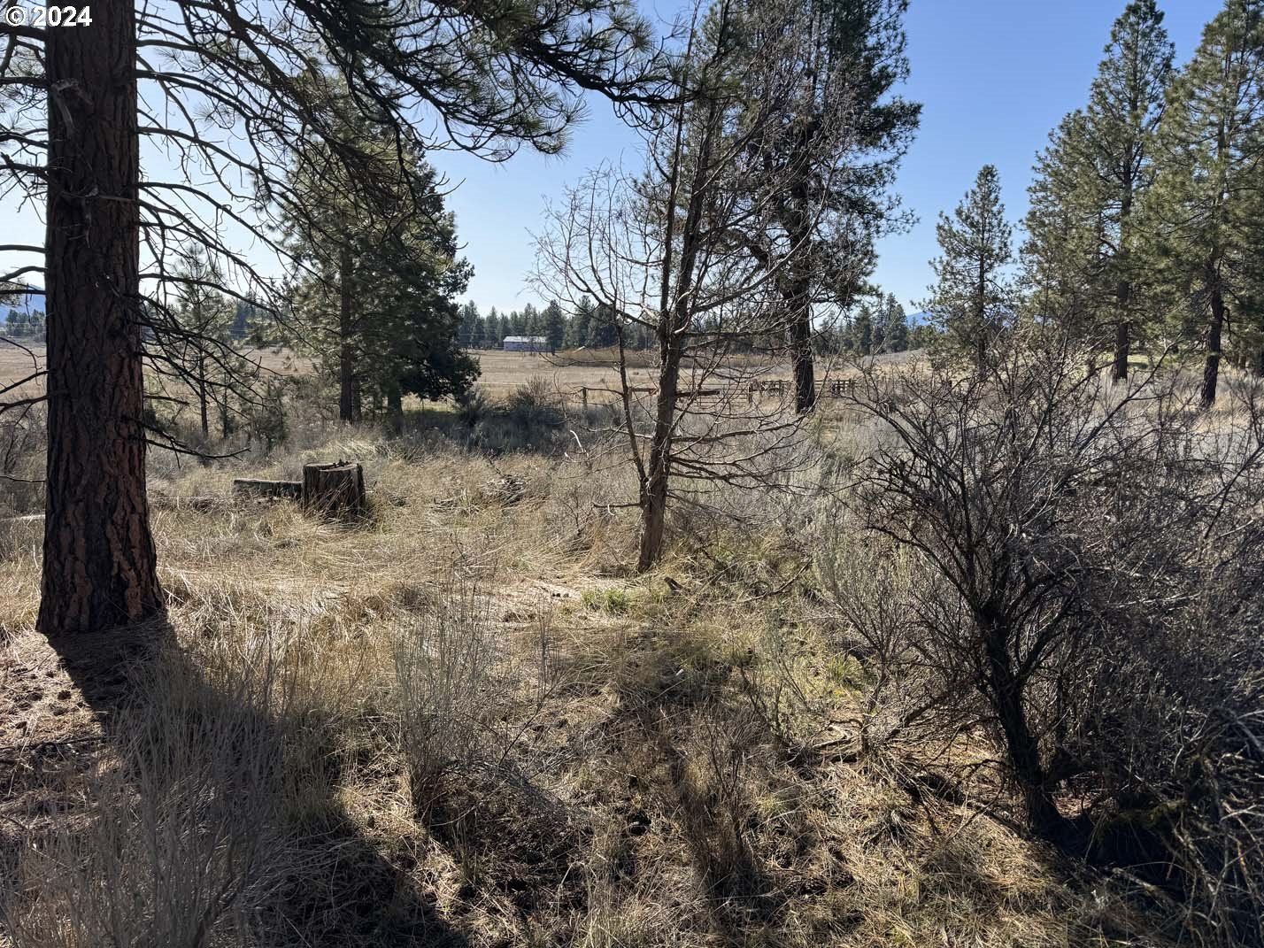 Copperfield Drive Chiloquin, OR 97624 - Photo 26 of 36 a view of a yard with large trees