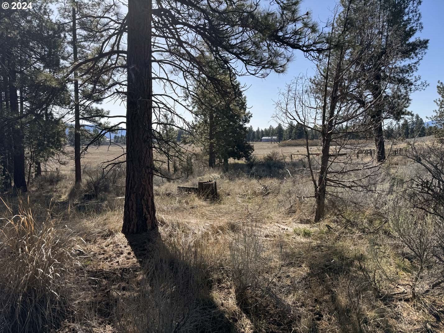 Copperfield Drive Chiloquin, OR 97624 - Photo 27 of 36 a view of a yard with large trees