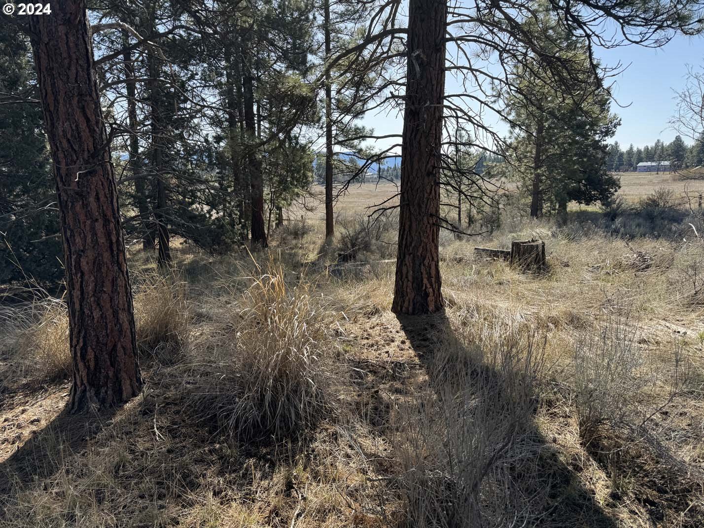 Copperfield Drive Chiloquin, OR 97624 - Photo 28 of 36 a view of a trees with a yard