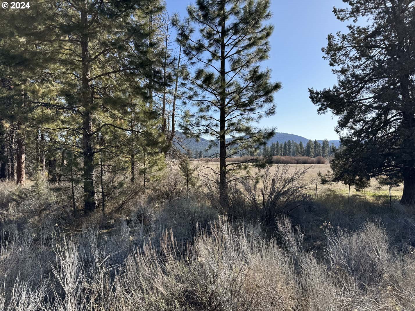 Copperfield Drive Chiloquin, OR 97624 - Photo 29 of 36 a view of river covered by trees and snow