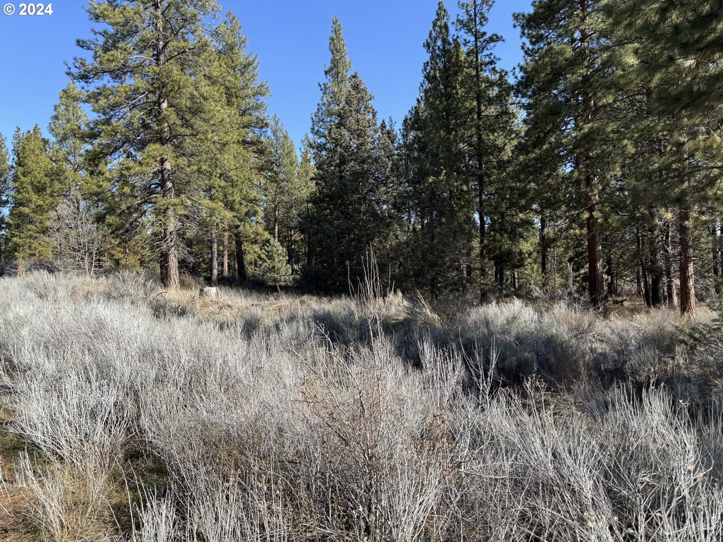 Copperfield Drive Chiloquin, OR 97624 - Photo 31 of 36 a view of a lush green forest with lots of trees