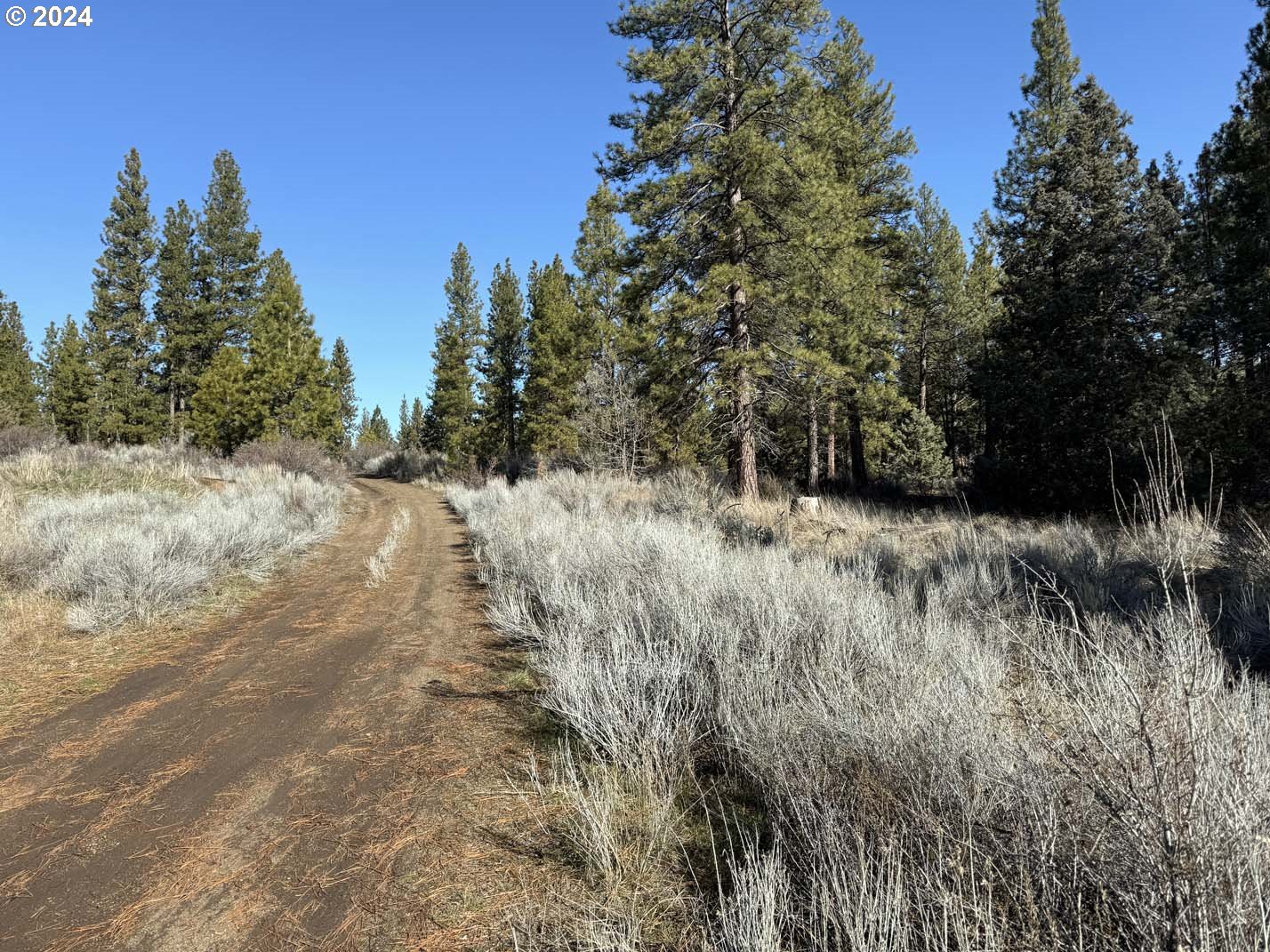 Copperfield Drive Chiloquin, OR 97624 - Photo 32 of 36 a view of a dry yard with trees