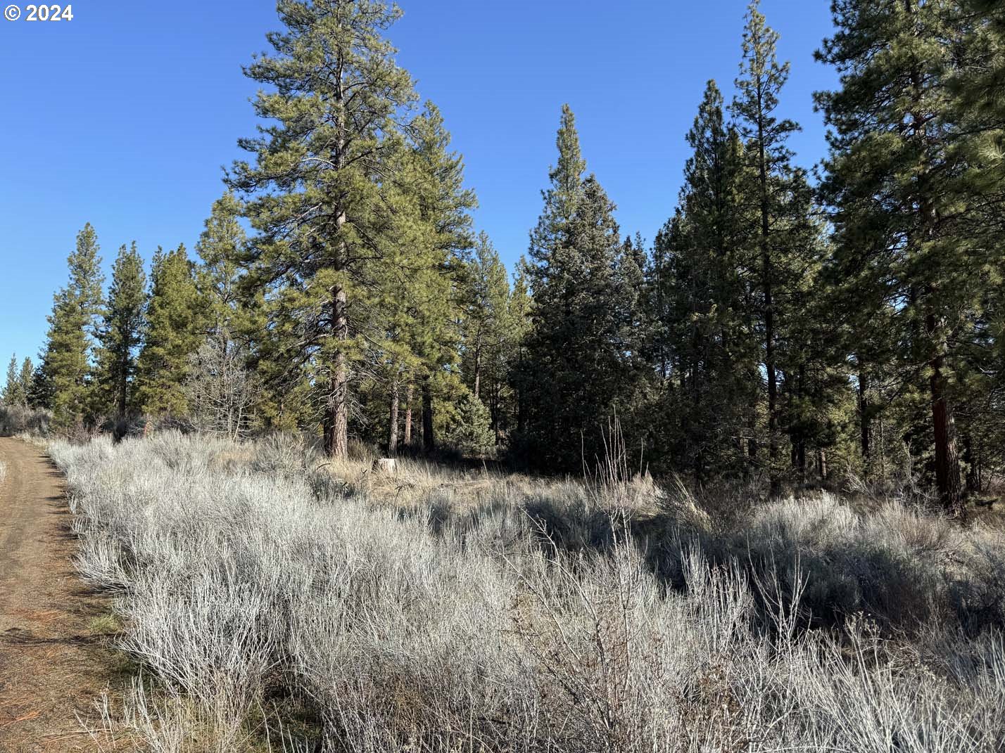 Copperfield Drive Chiloquin, OR 97624 - Photo 33 of 36 a view of a lush green forest with lots of trees