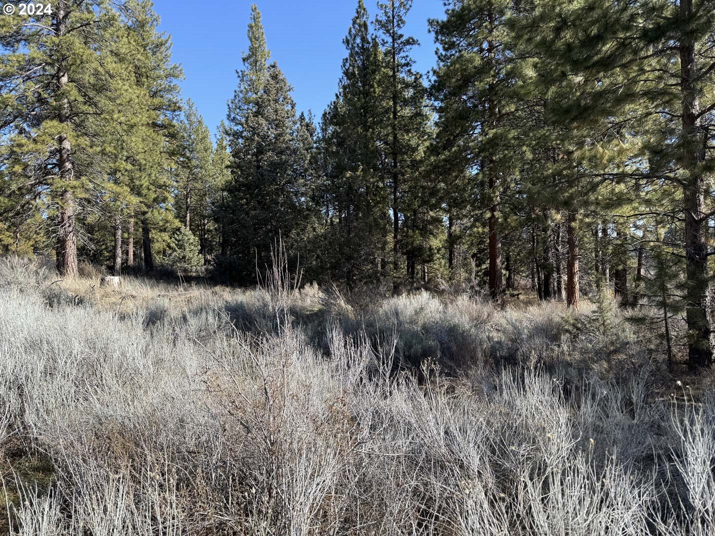 Copperfield Drive Chiloquin, OR 97624 - Photo 34 of 36 a view of a lush green forest with lots of trees