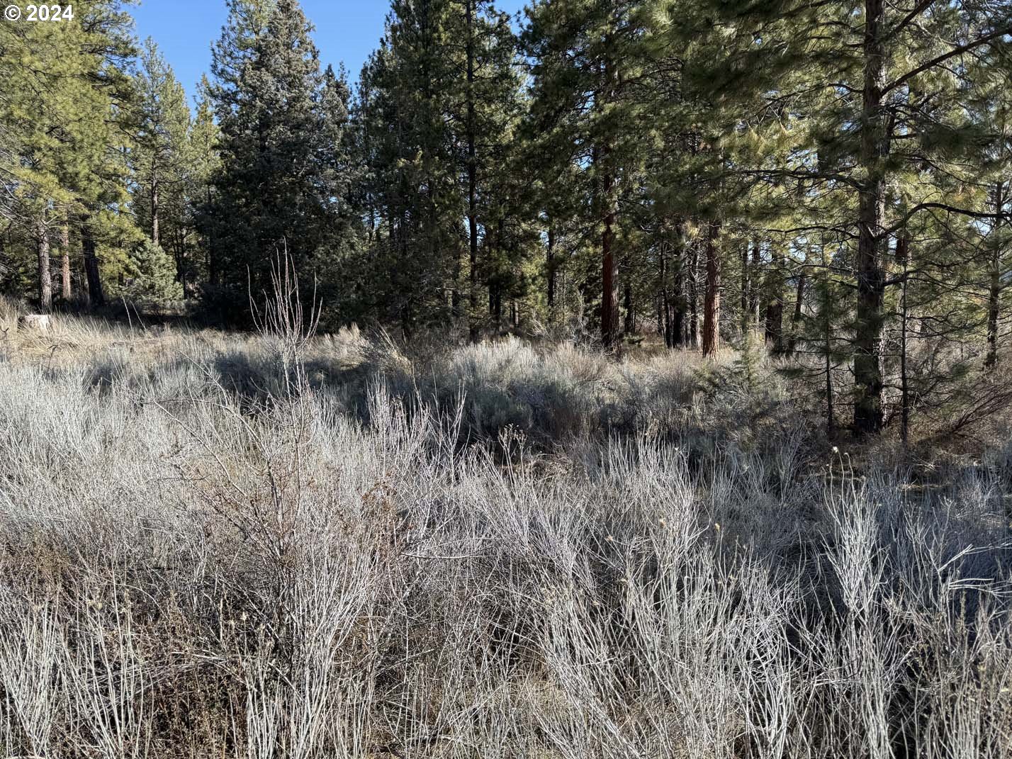 Copperfield Drive Chiloquin, OR 97624 - Photo 35 of 36 a view of a lush green forest with lots of trees