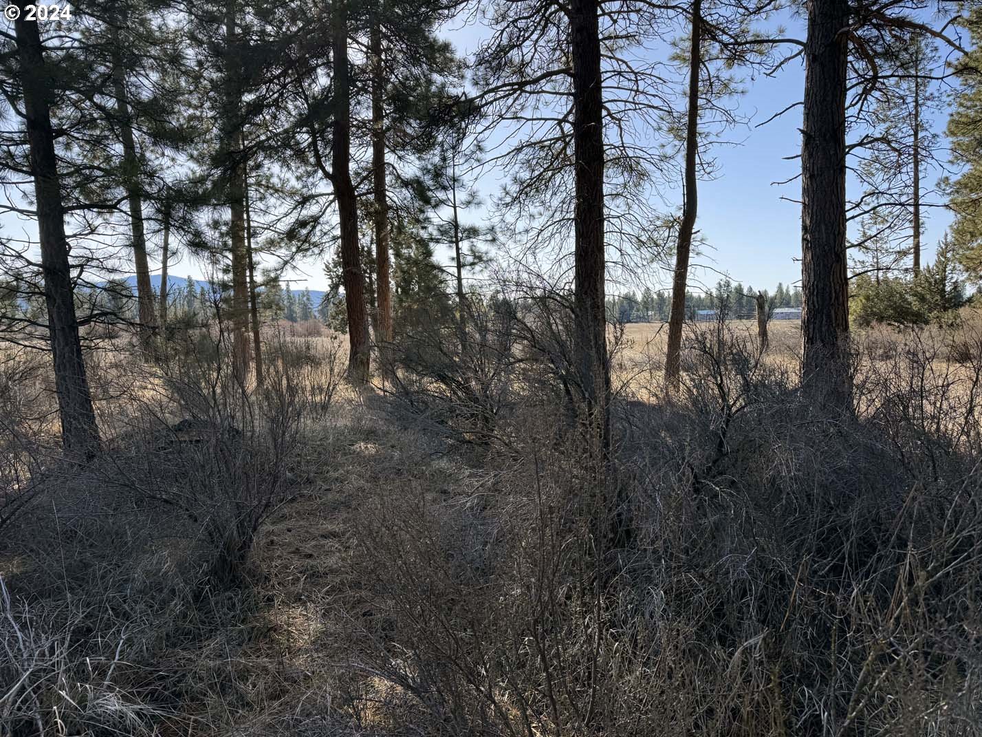 Copperfield Drive Chiloquin, OR 97624 - Photo 7 of 36 a view of lake with green space