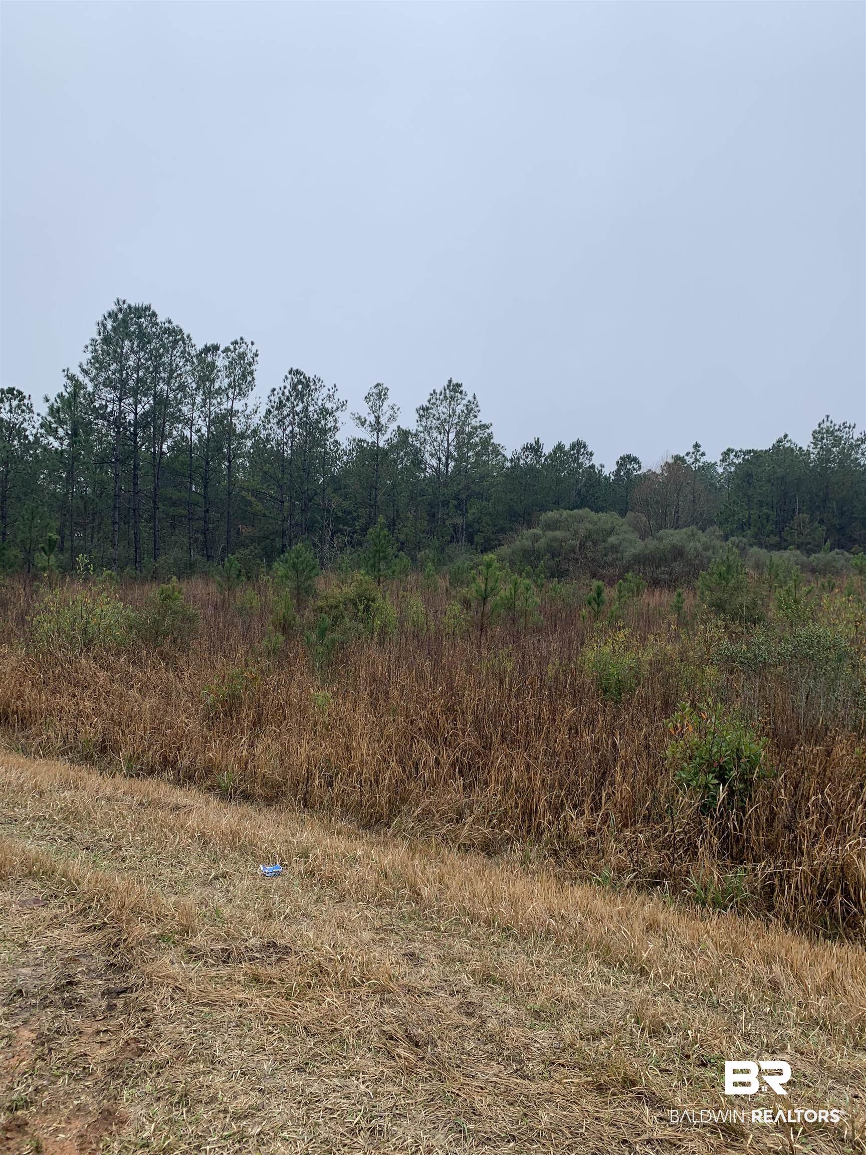 7211 Roscoe Road Gulf Shores, AL 36542 - Photo 2 of 3