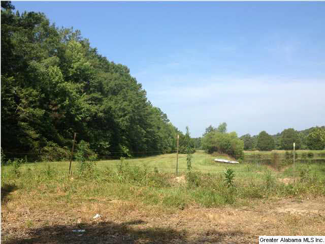 1303 Oakley Station Road Randolph, AL 36792 - Photo 27 of 27
