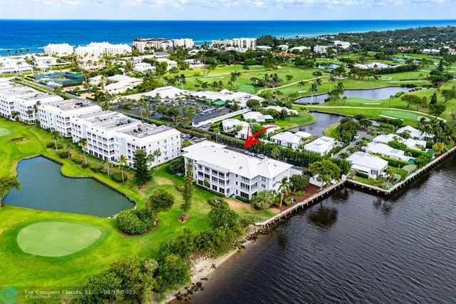 a view of a swimming pool with lawn chairs and plants
